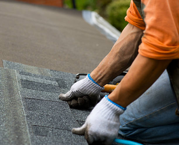 Professional Roofing Contractor in Cordova, AL
